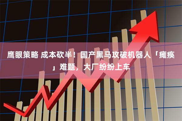 鹰眼策略 成本砍半！国产黑马攻破机器人「瘫痪」难题，大厂纷纷上车