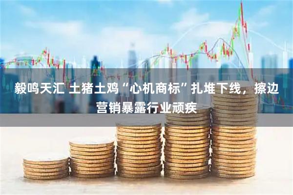 毅鸣天汇 土猪土鸡“心机商标”扎堆下线，擦边营销暴露行业顽疾