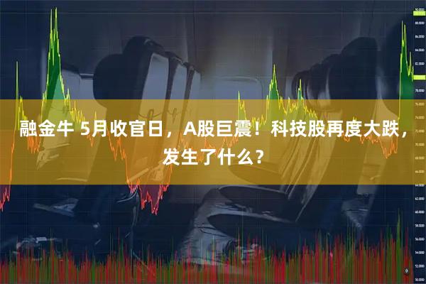 融金牛 5月收官日，A股巨震！科技股再度大跌，发生了什么？