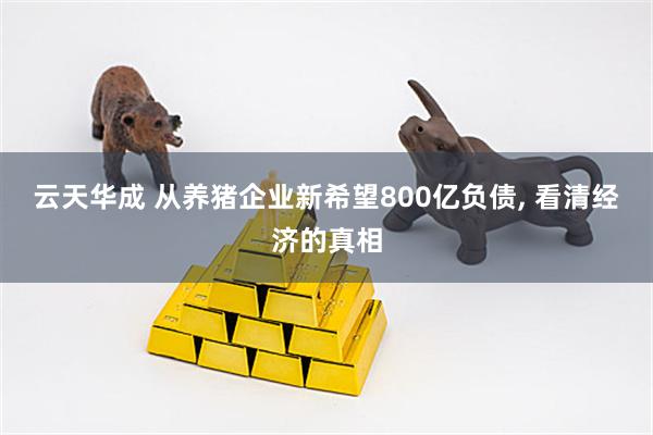 云天华成 从养猪企业新希望800亿负债, 看清经济的真相